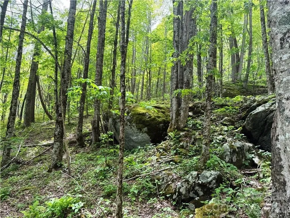 tbd Spice Creek Road Banner Elk, NC 28604