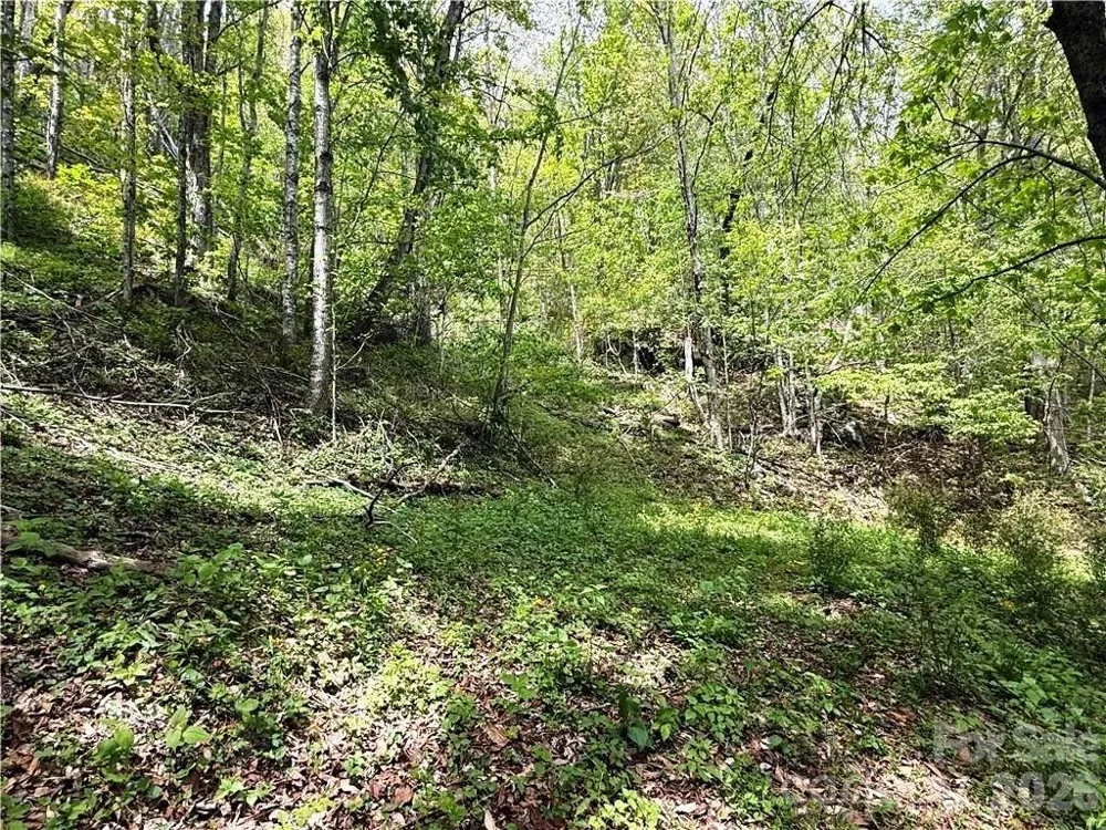 tbd Spice Creek Road Banner Elk, NC 28604