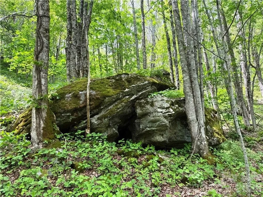 tbd Spice Creek Road Banner Elk, NC 28604