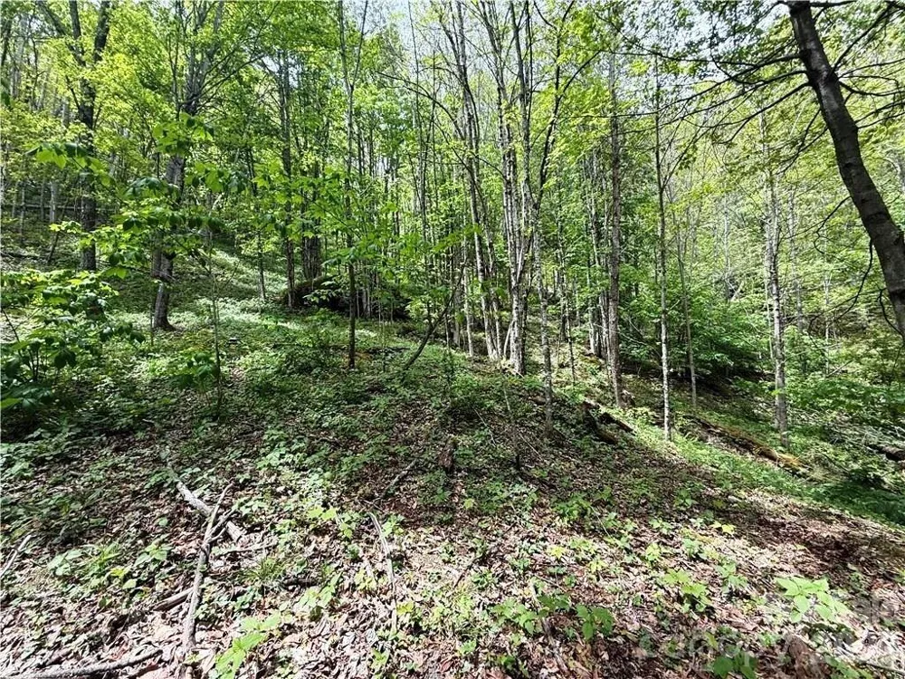 tbd Spice Creek Road Banner Elk, NC 28604