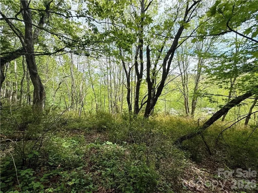 tbd Spice Creek Road Banner Elk, NC 28604