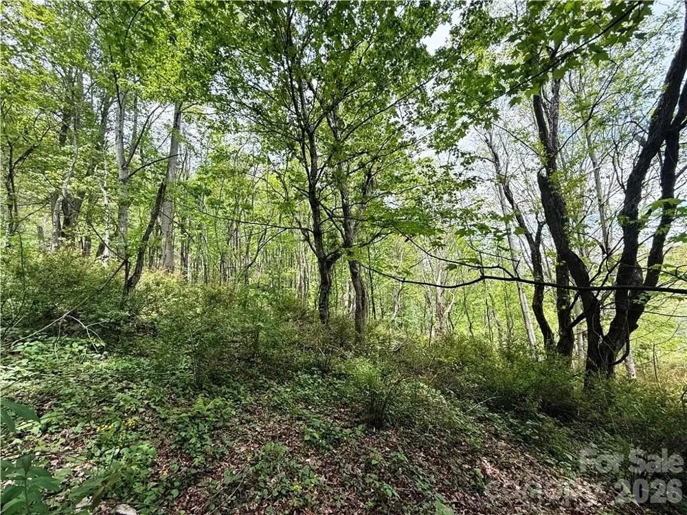 tbd Spice Creek Road Banner Elk, NC 28604