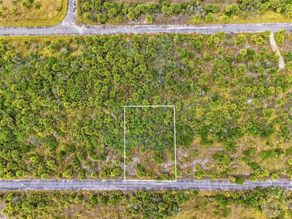 1553 ALCOVA STREET SW Palm Bay, FL 32908