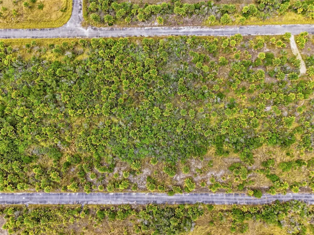 1553 ALCOVA STREET SW Palm Bay, FL 32908