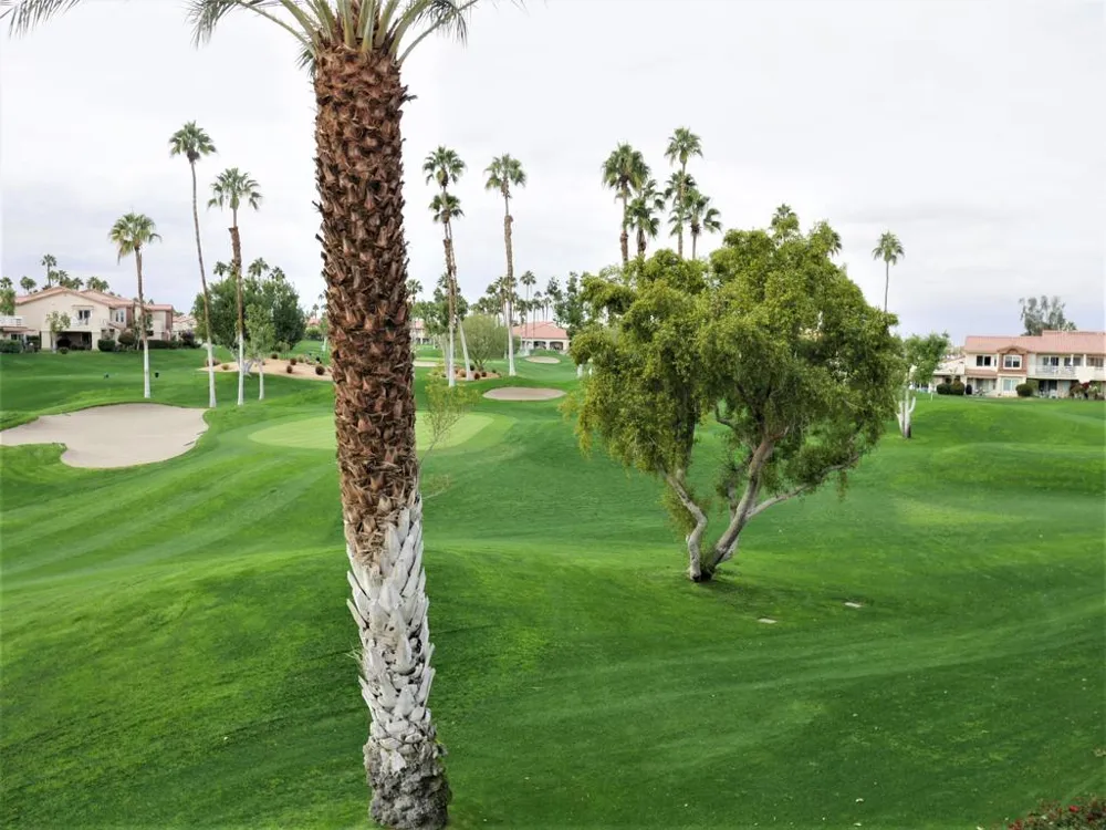 78431 Magenta Drive La Quinta, CA 92253