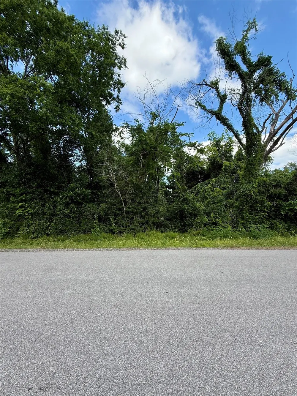 13650 Salt Grass Trail Lot 105 Cypress, TX 77429