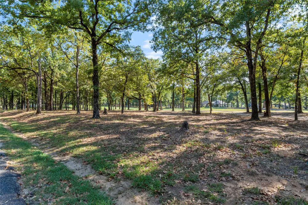 221 Colonial Drive Mabank, TX 75156