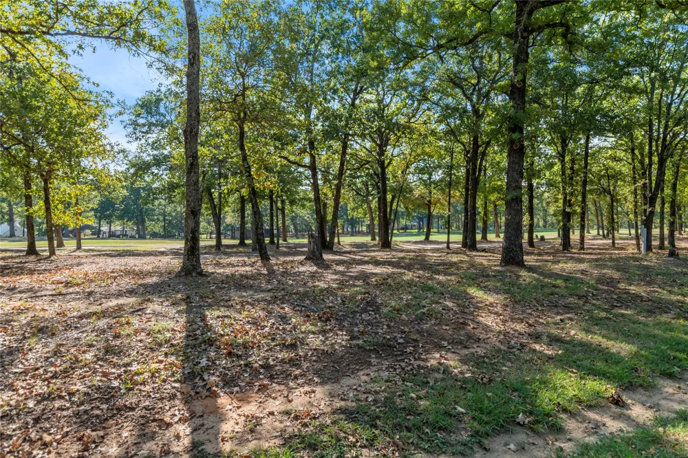 221 Colonial Drive Mabank, TX 75156