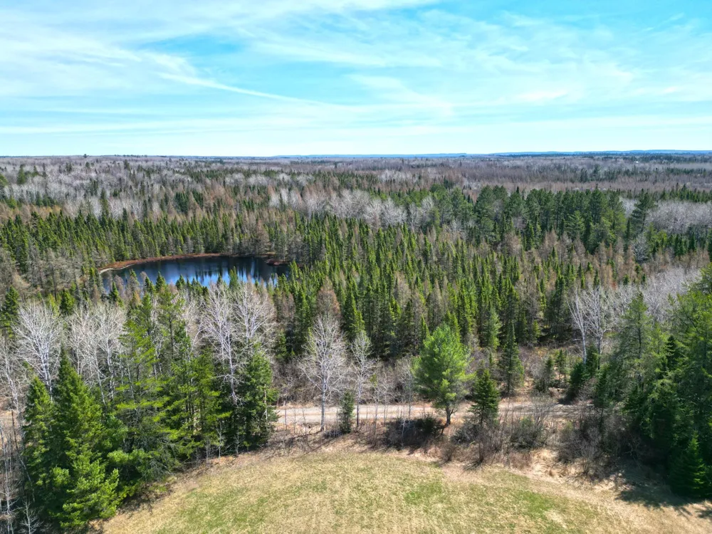 5535 Wahlsten Road Embarrass, MN 55790