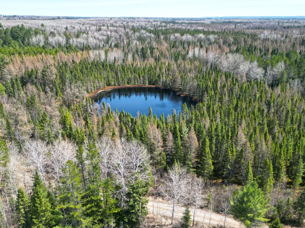 5535 Wahlsten Road Embarrass, MN 55790