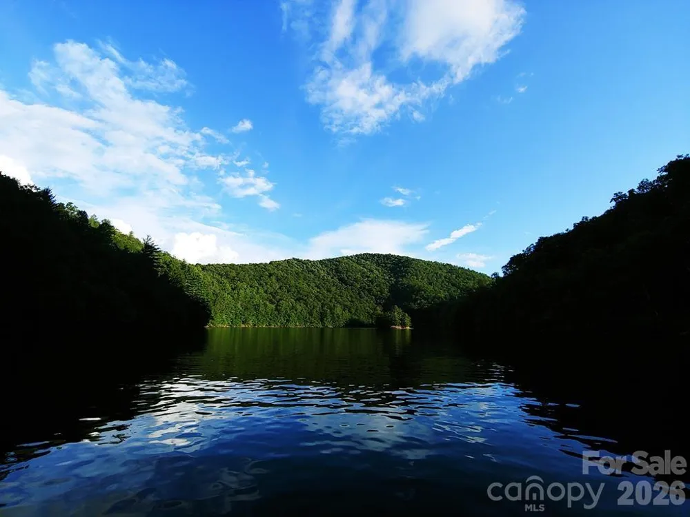 103 Southshore Drive #1 Tuckasegee, NC 28783