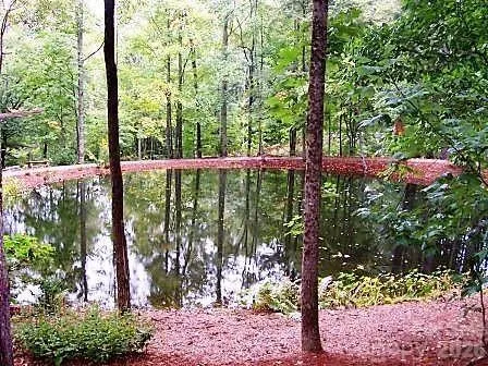 103 Southshore Drive #1 Tuckasegee, NC 28783