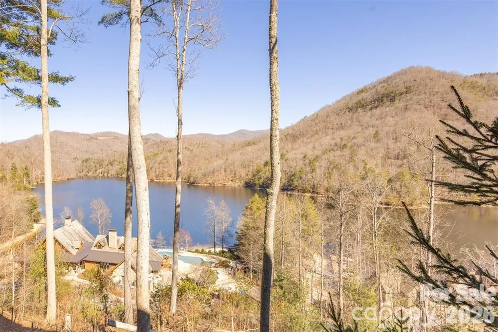 103 Southshore Drive #1 Tuckasegee, NC 28783
