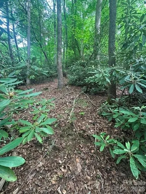 TBD Glen Cannon Drive #5-B Pisgah Forest, NC 28768