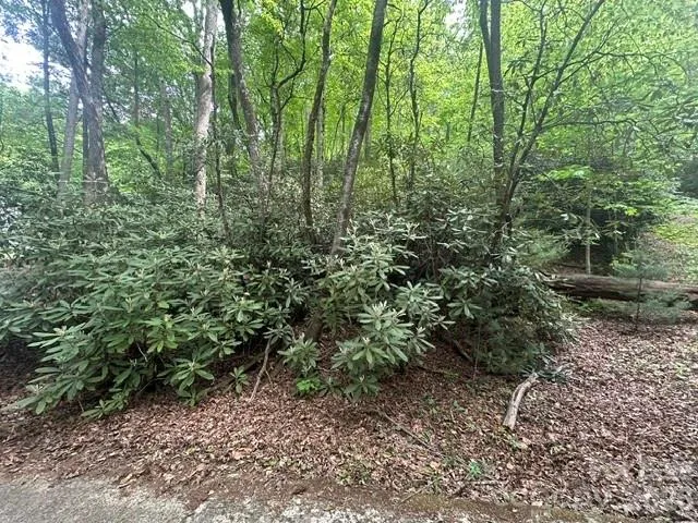 TBD Glen Cannon Drive #5-B Pisgah Forest, NC 28768