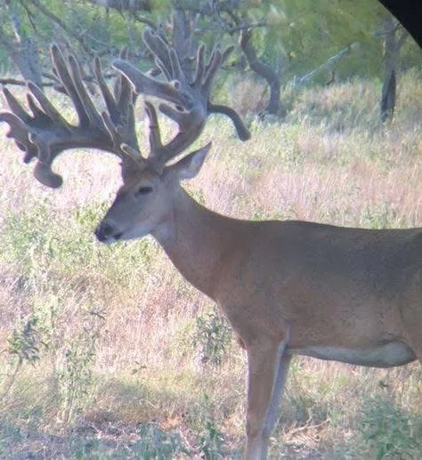 2313 E Us Highway 79 Rockdale, TX 76567