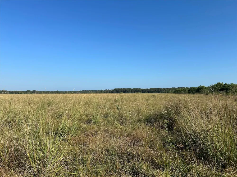 63 Minnie West Rd Drive Hull, TX 77564