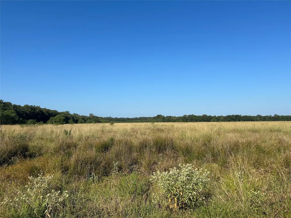 64 Minnie West Rd Drive Hull, TX 77564