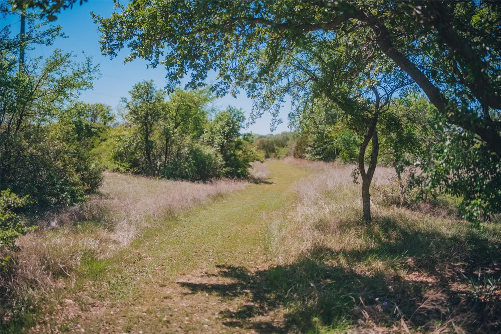1471 Chapman Court Annetta, TX 76008
