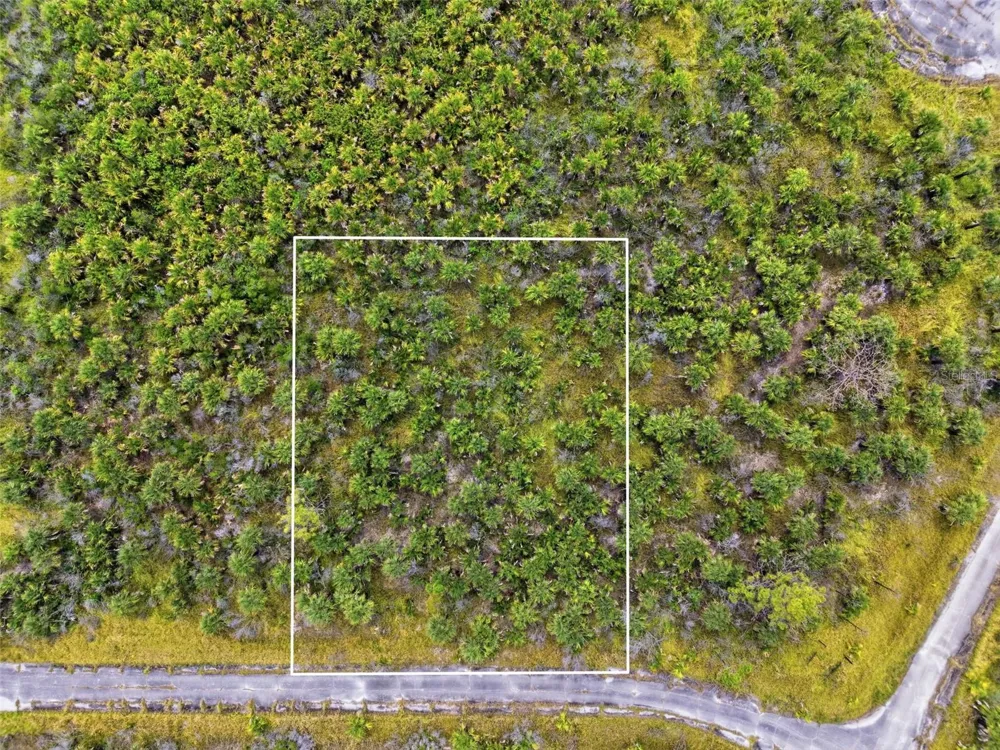 2806 FLAMEFLOWER TERRACE SW Palm Bay, FL 32908