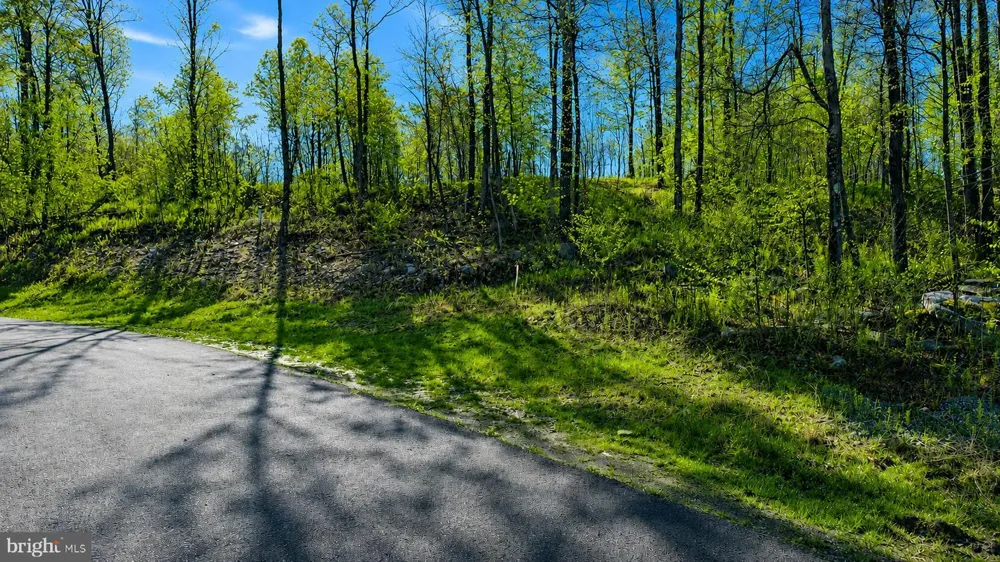 21 ROCKY GAP TRAIL Mc Henry, MD 21541