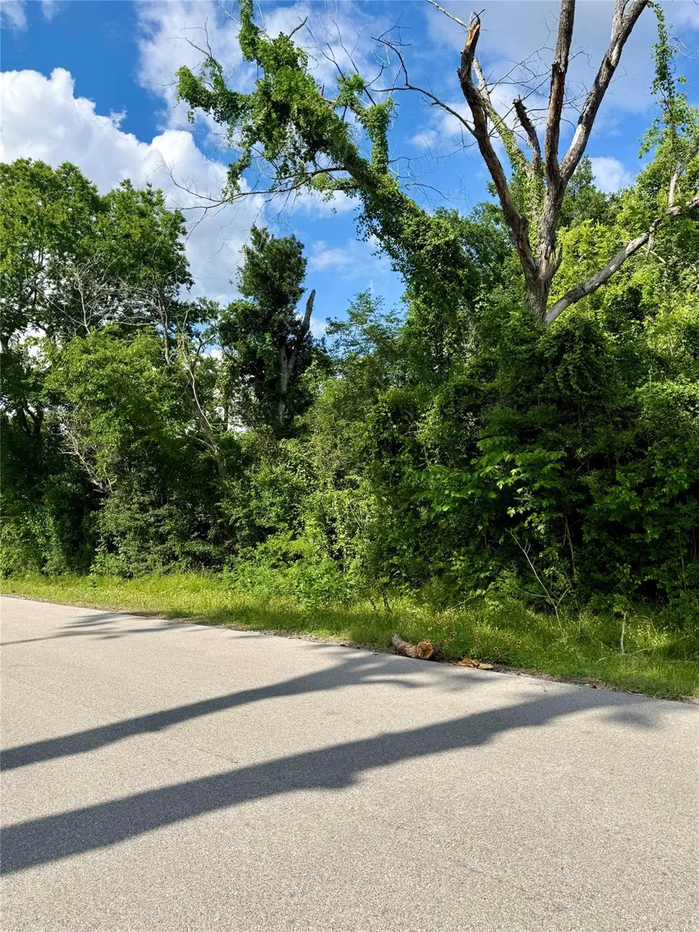 13650 Salt Grass Trail Lot 106 Cypress, TX 77429