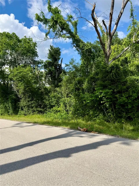 13650 Salt Grass Trail Lot 106