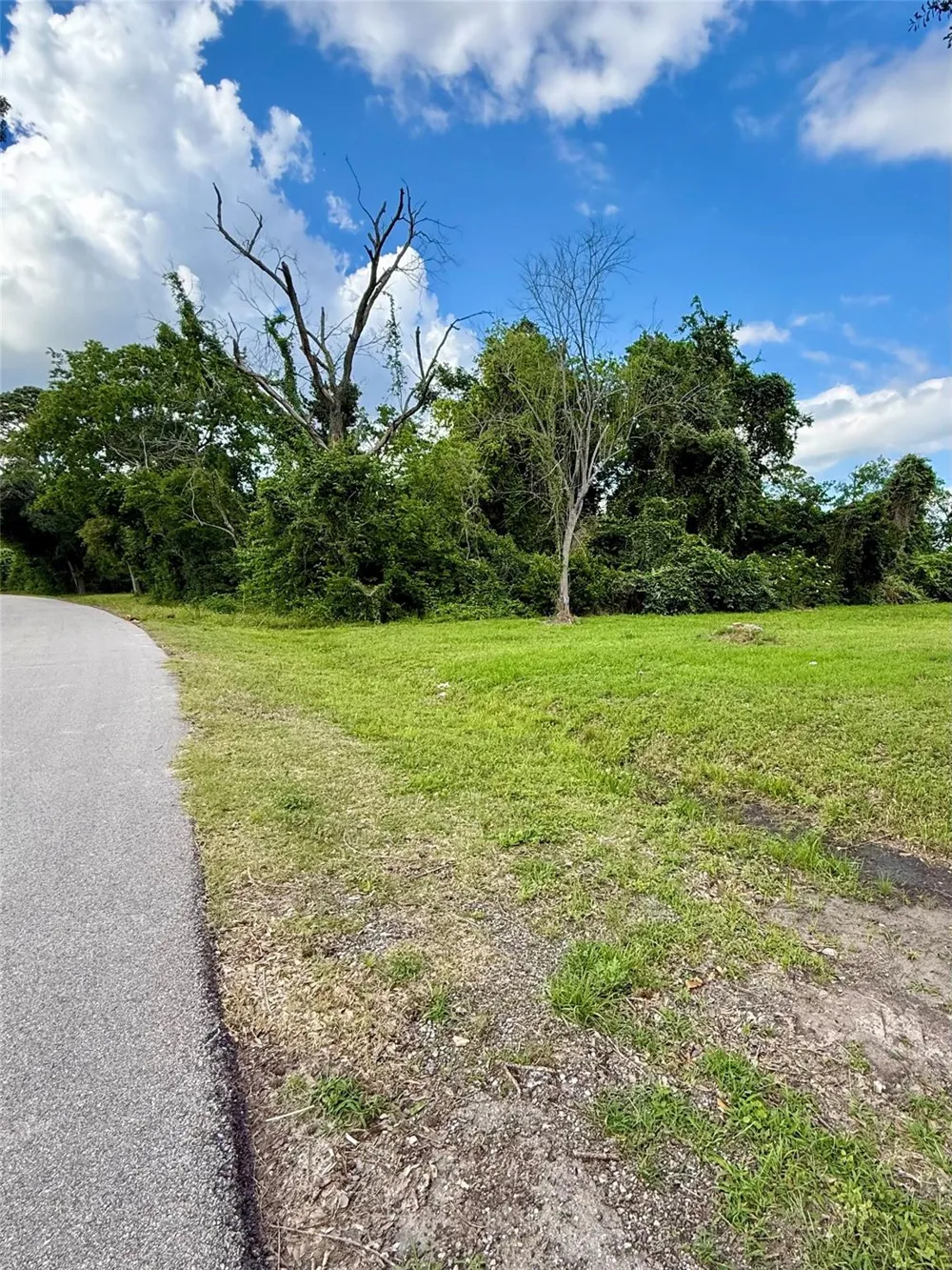 13650 Salt Grass Trail Lot 106 Cypress, TX 77429