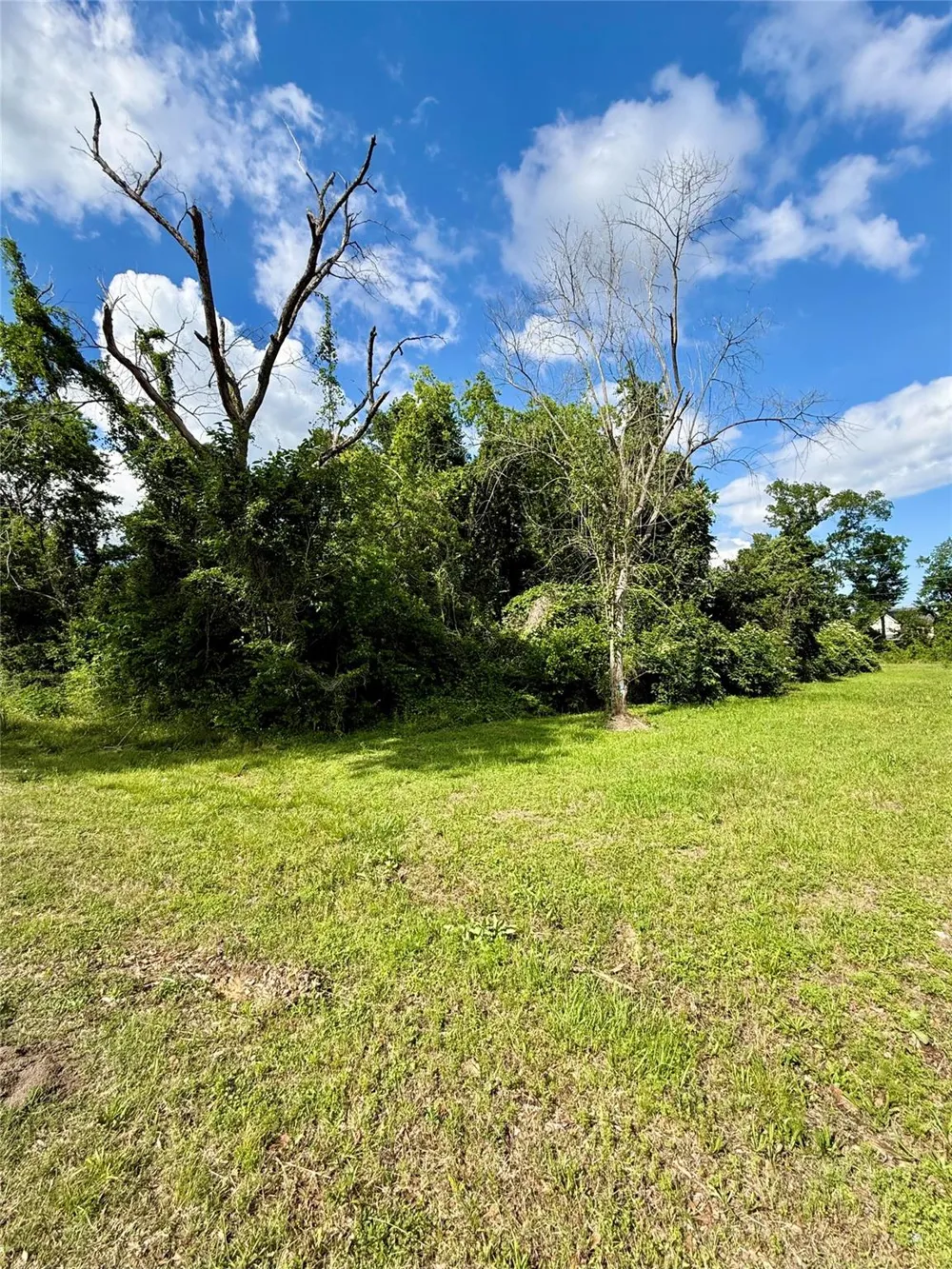 13650 Salt Grass Trail Lot 106 Cypress, TX 77429