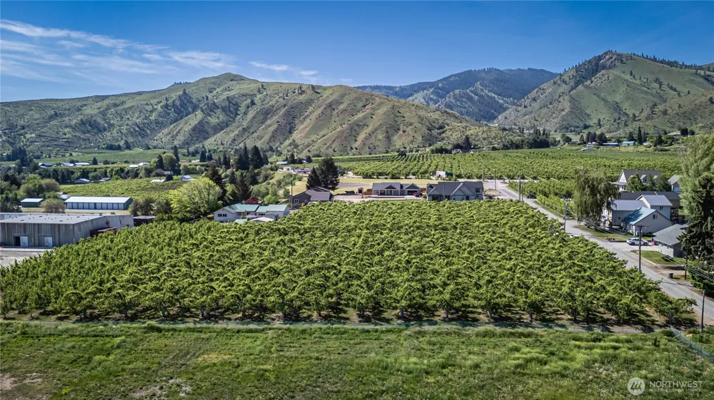 3925 Strutzel Road Monitor, WA 98836
