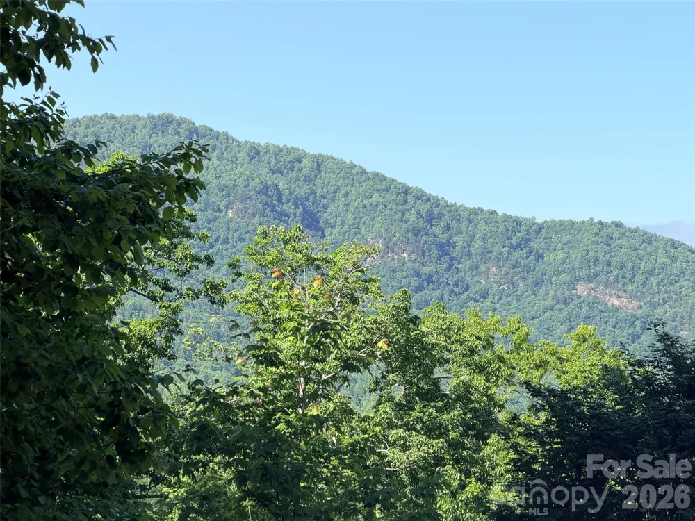 Lot 8 High Rock Ridge Lake Lure, NC 28746