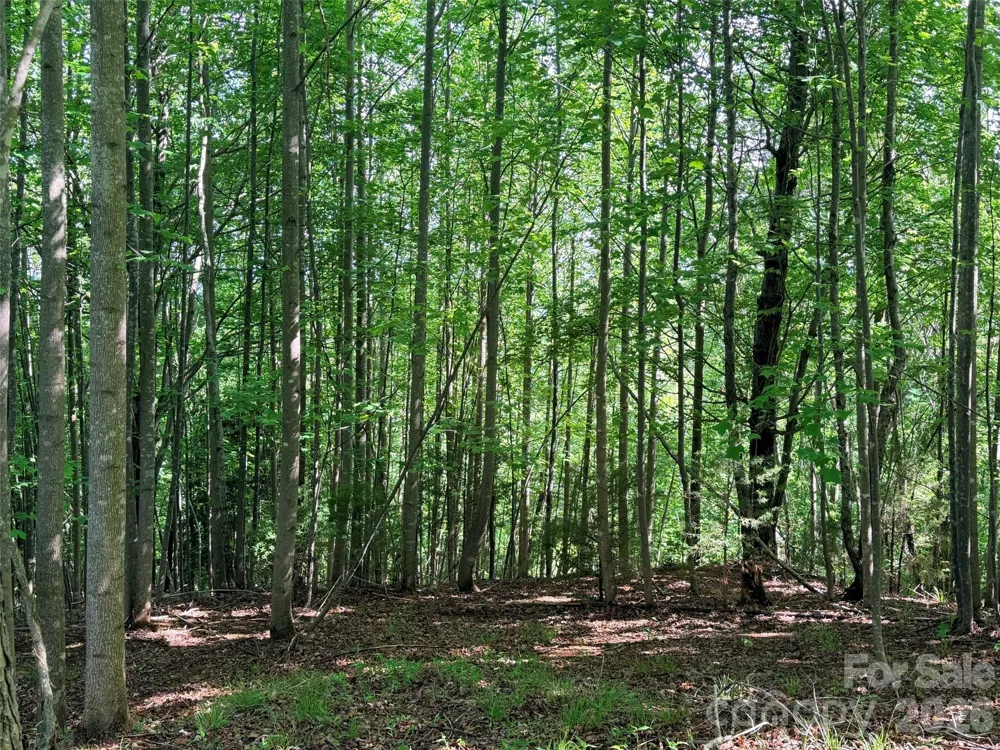 Lot 8 High Rock Ridge Lake Lure, NC 28746