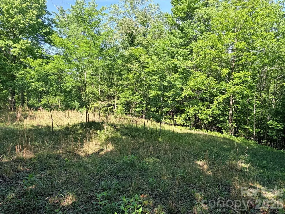 Lot 8 High Rock Ridge Lake Lure, NC 28746
