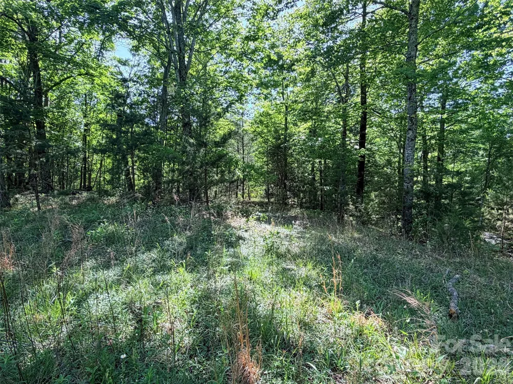 Lot 8 High Rock Ridge Lake Lure, NC 28746