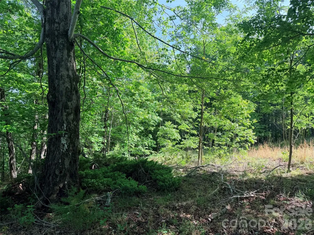 Lot 8 High Rock Ridge Lake Lure, NC 28746