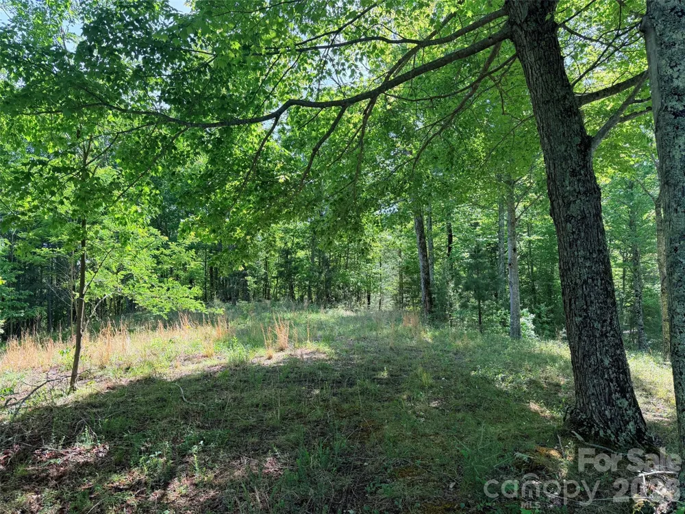 Lot 8 High Rock Ridge Lake Lure, NC 28746