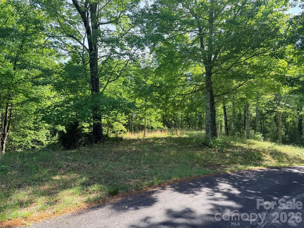 Lot 8 High Rock Ridge Lake Lure, NC 28746