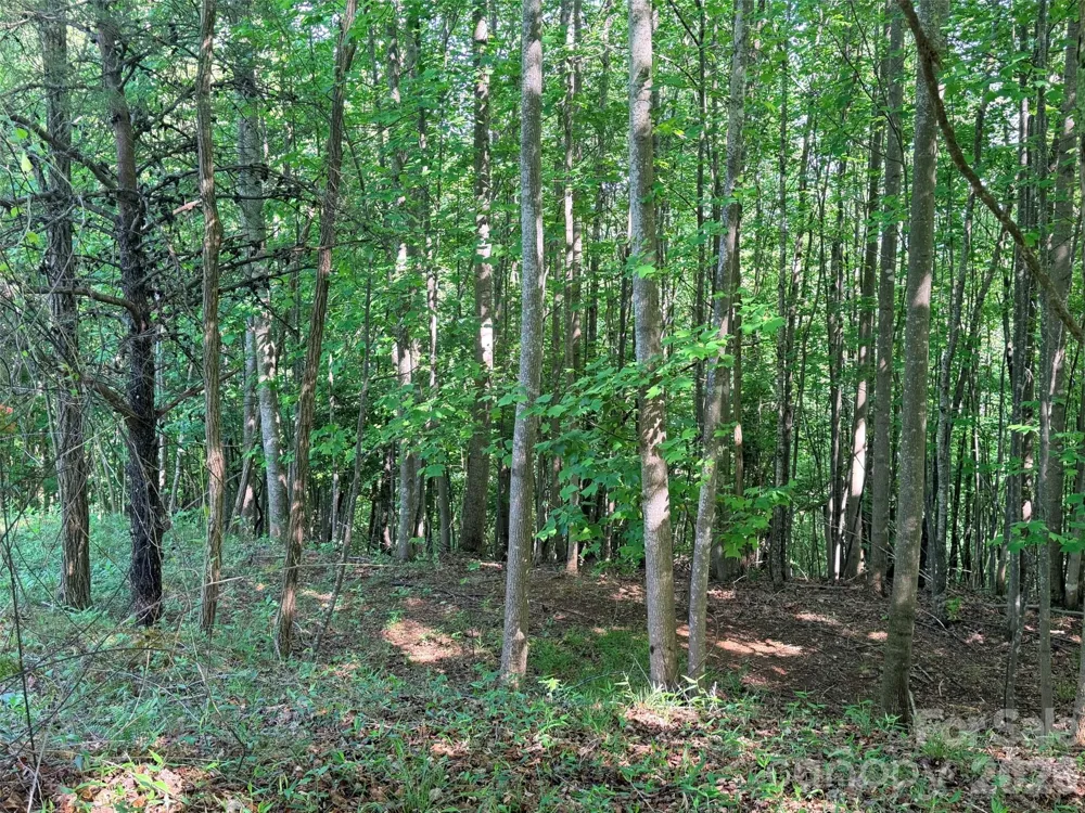Lot 8 High Rock Ridge Lake Lure, NC 28746