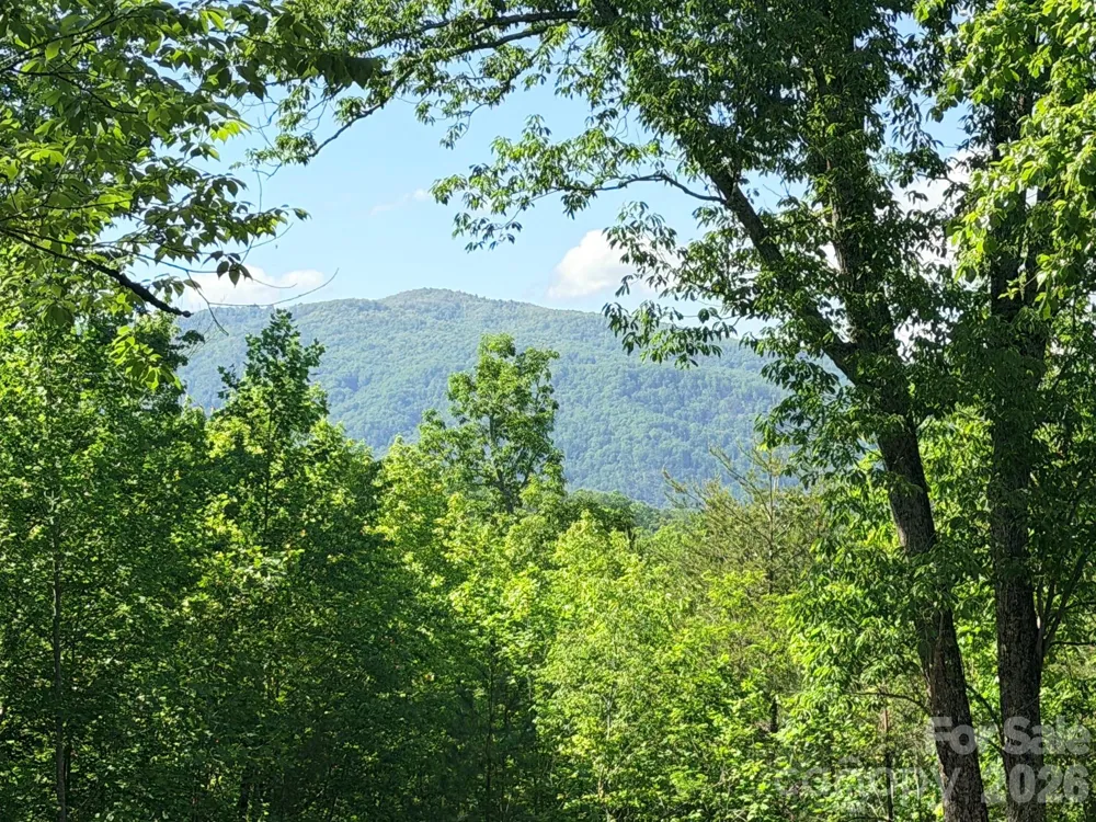 Lot 8 High Rock Ridge Lake Lure, NC 28746