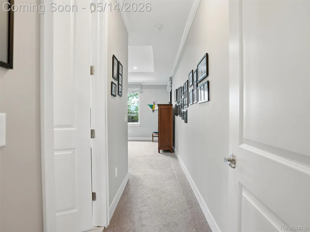 3513 Pointe Shore Drive Brighton Township, MI 48114