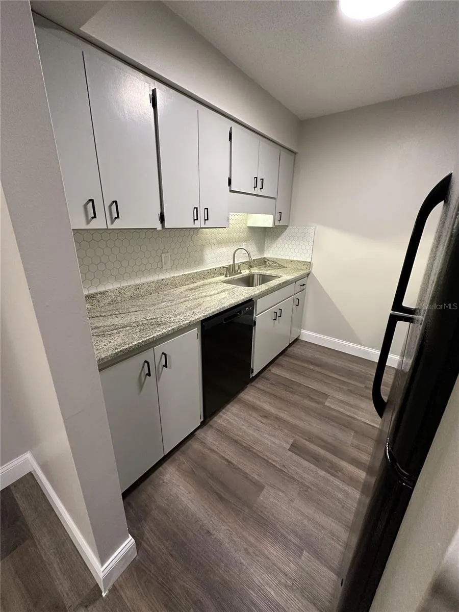 165 PICARDY VILLA CIRCLE #202 Brandon, FL 33510