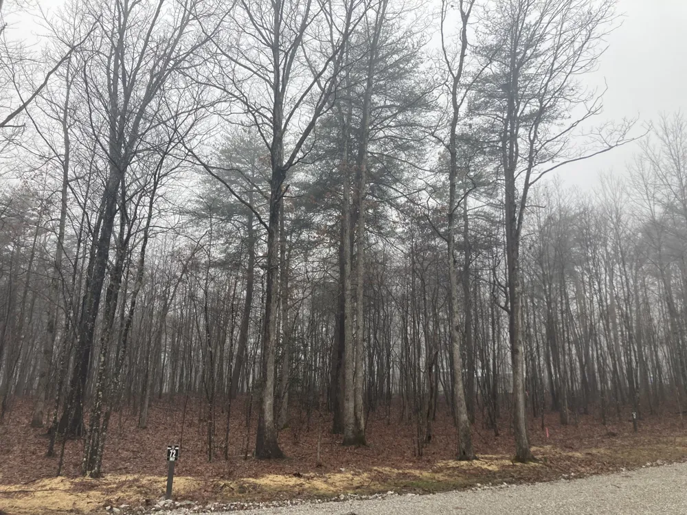 72 Woodly Branch Way Monteagle, TN 37356