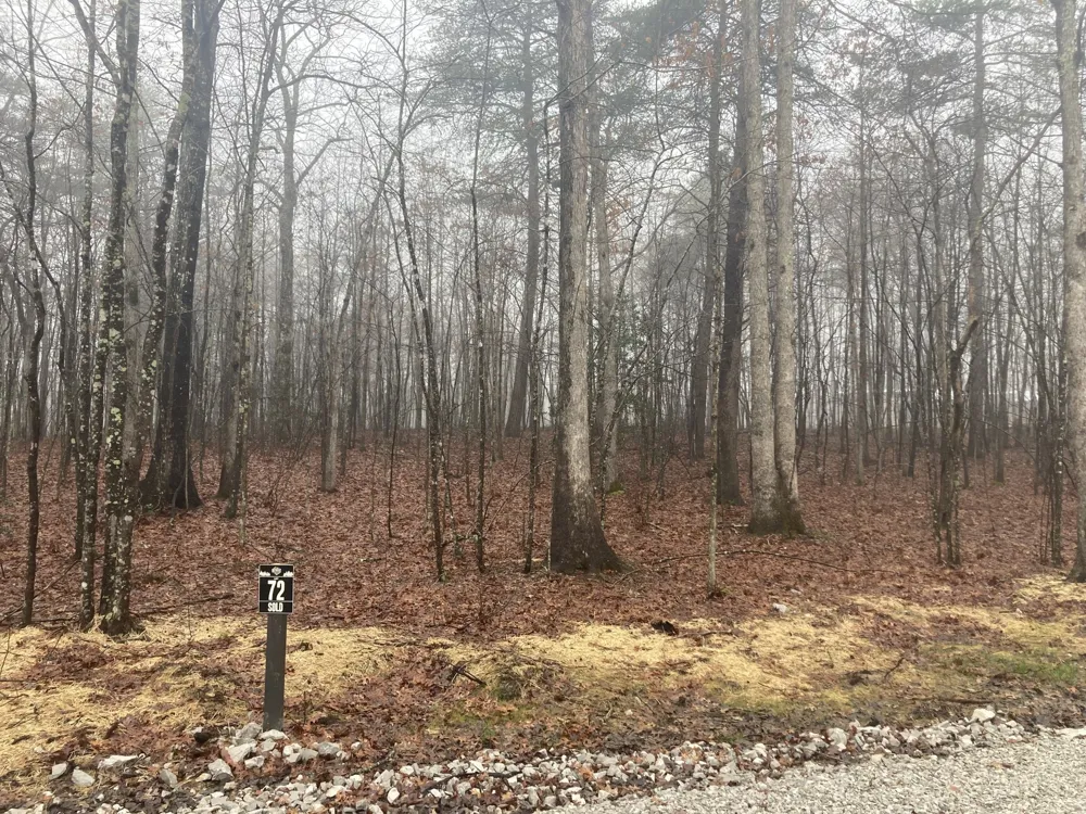 72 Woodly Branch Way Monteagle, TN 37356