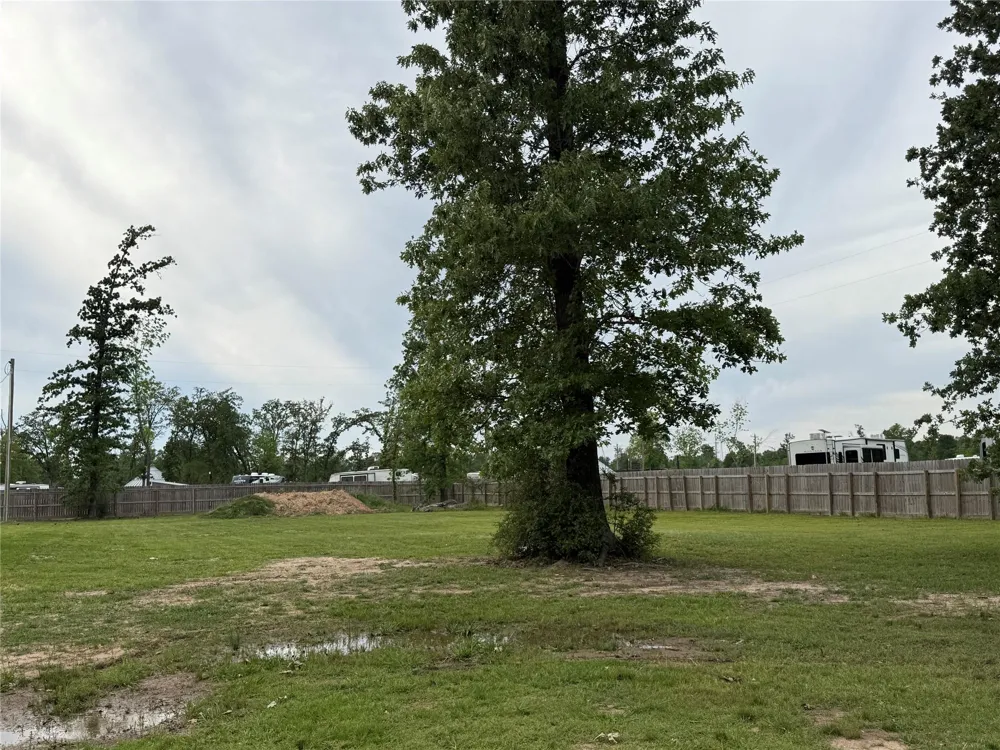 15 Pearl Court Onalaska, TX 77360