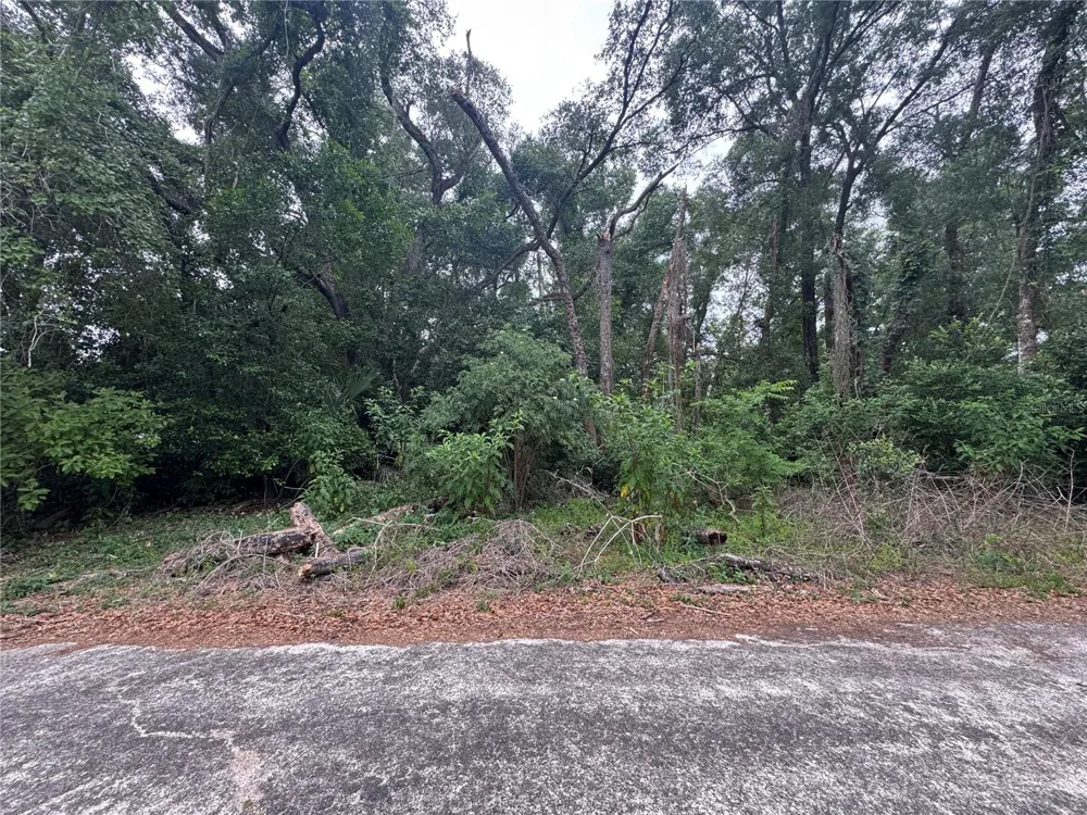3638 E LEE DRIVE Inverness, FL 34453