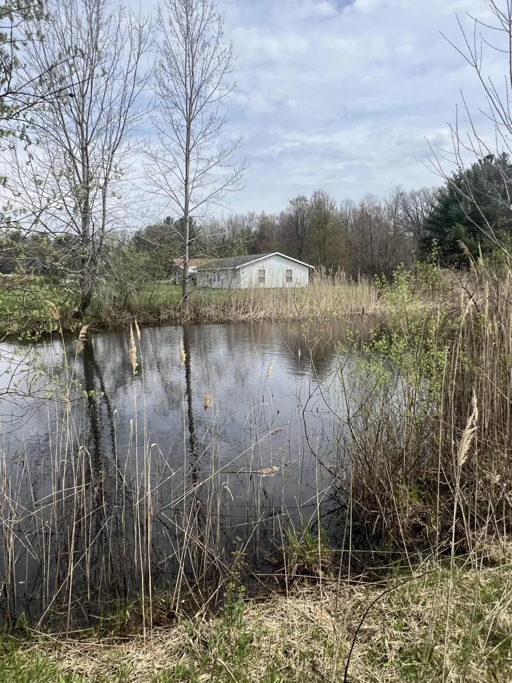 4816 109th Avenue Pullman, MI 49450
