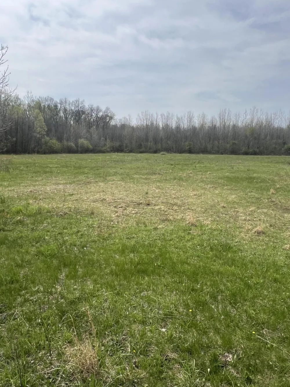 4816 109th Avenue Pullman, MI 49450