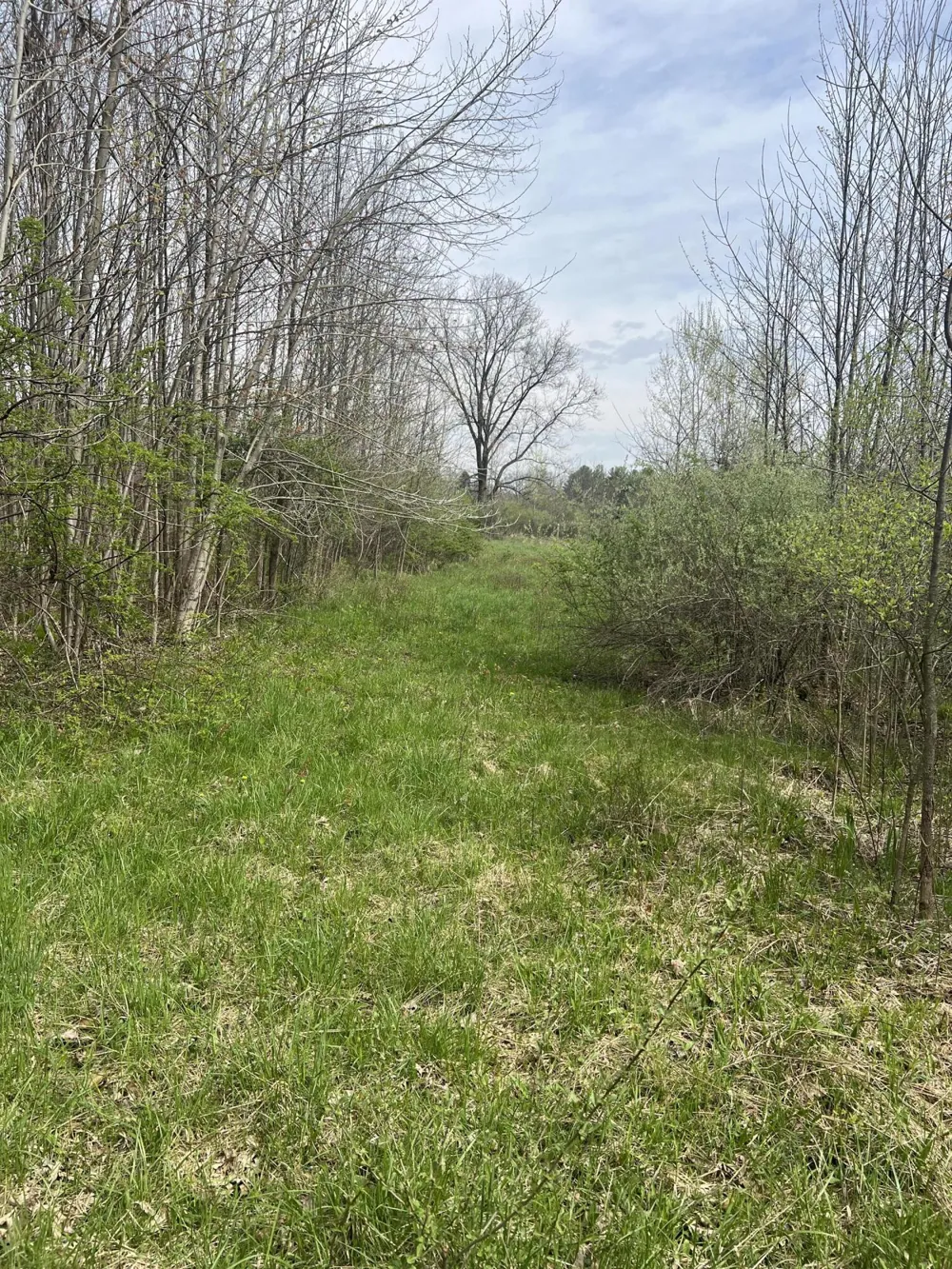 4816 109th Avenue Pullman, MI 49450