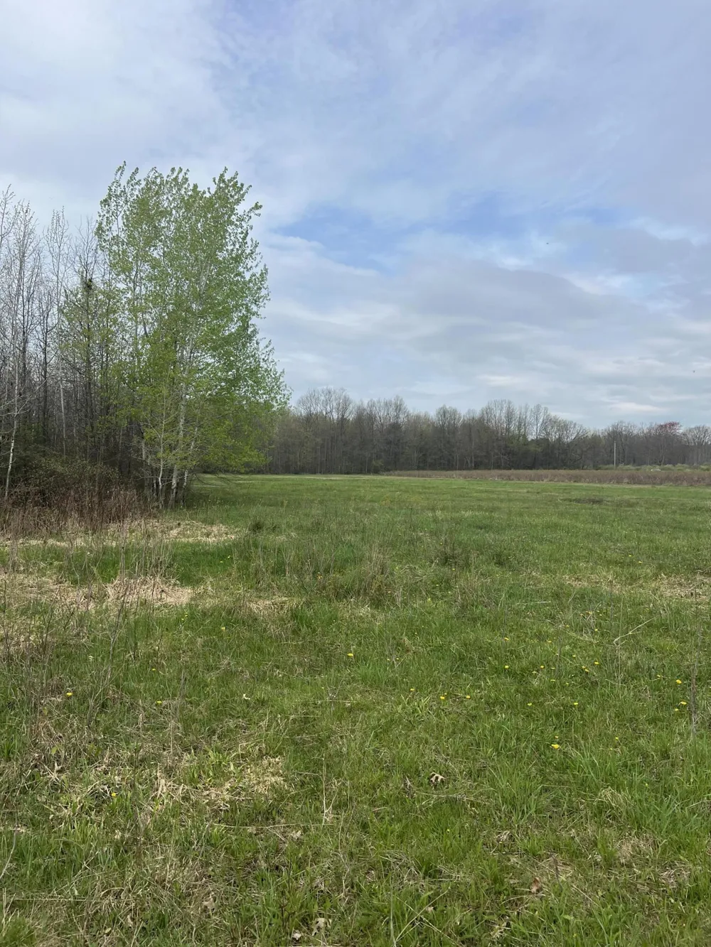 4816 109th Avenue Pullman, MI 49450