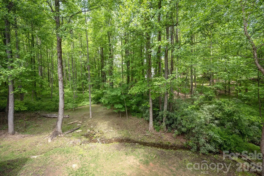 113 CHANCERY COURT Flat Rock, NC 28731